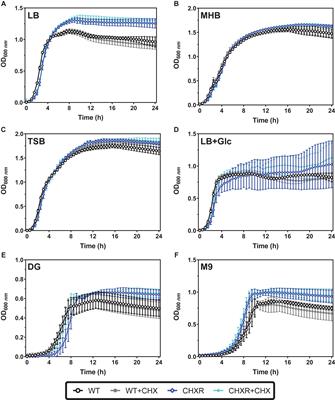 Phenotypic and Multi-Omics Characterization of Escherichia coli K-12 Adapted to Chlorhexidine Identifies the Role of MlaA and Other Cell Envelope Alterations Regulated by Stress Inducible Pathways in CHX Resistance